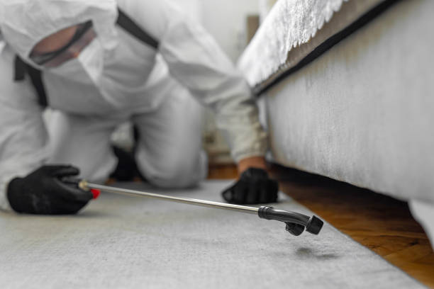 Professional Cockroach Control technician working in Groveville, NJ