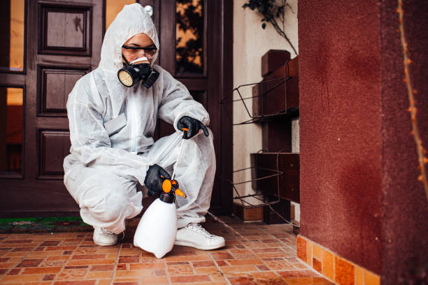 Reliable Cockroach Control contractor in Groveville, NJ by Nex Pest Control